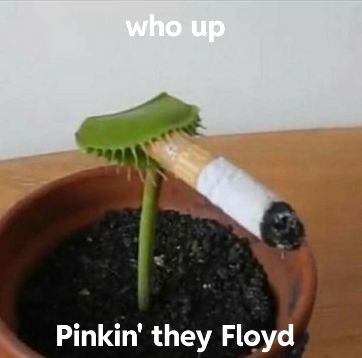 FloydianBoi